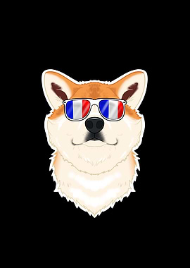 Akita Inu France