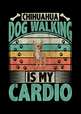 Chihuahua Dog Walking