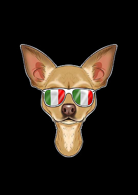 Chihuahua Italy Sunglasses