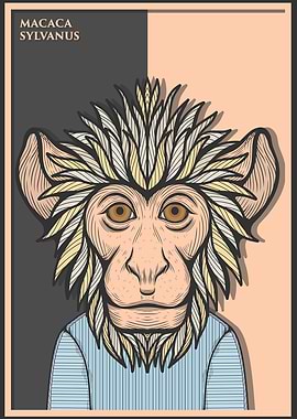 Barbary Macaque Monkey