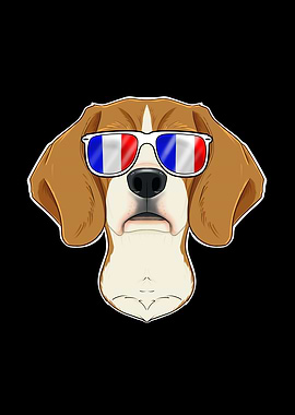 Beagle France Sunglasses