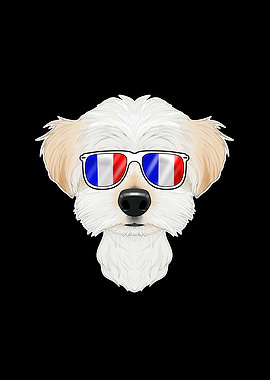 Maltese France Sunglasses