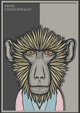 Yellow Baboon