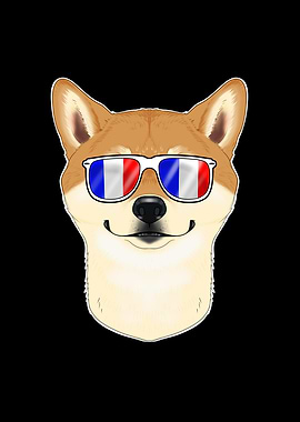 Shiba Inu France
