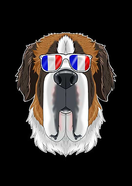 Saint Bernard France