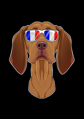 Vizsla France Sunglasses
