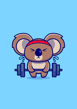 koala lifting barbell