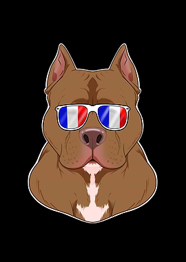 Pitbull France Sunglasses
