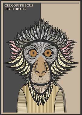 Red Eared Guenon Monkey