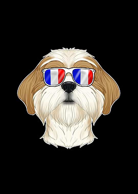 Shih Tzu France Sunglasses