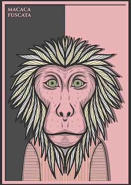 Japanese Macaque Monkey