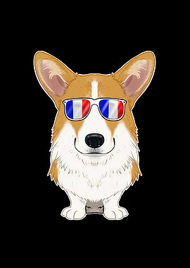 Welsh Corgi France