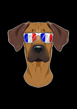 Rhodesian Ridgeback France