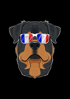 Rottweiler France