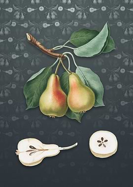 Vintage Pear on Slate Gray