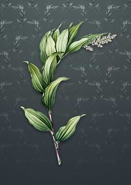 Vintage Treacleberry