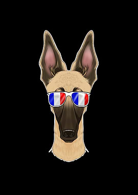 Malinois France Sunglasses