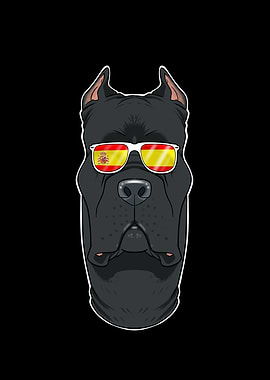 Cane Corso I Spain