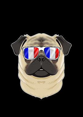 Pug France Sunglasses