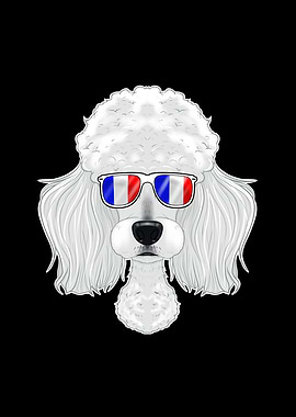 Poodle France Sunglasses