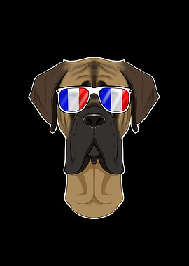 Mastiff France Sunglasses