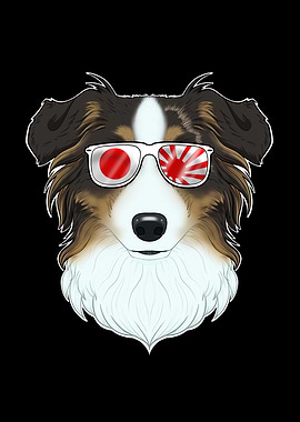 Australian Shepherd Japan