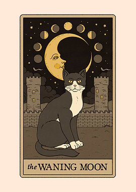 The Waning Moon Cat