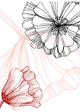 Poppy Botanical Floral