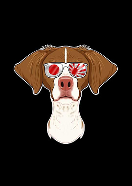 Brittany Japan Sunglasses