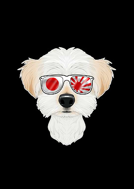 Maltese Japan Sunglasses