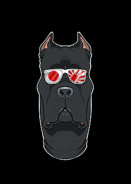 Cane Corso Japan