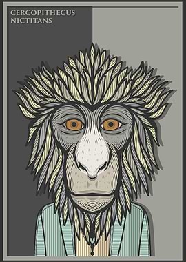 Greater Spot Nosed Monkey