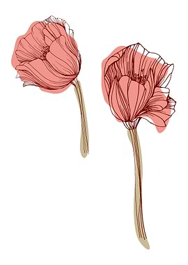 Poppy Botanical Floral