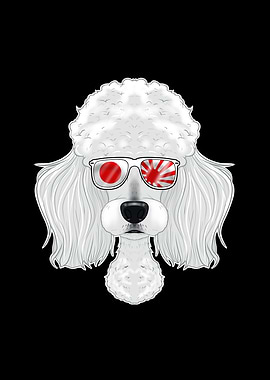 Poodle Japan Sunglasses