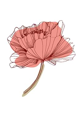 Poppy Botanical Floral