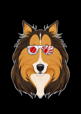 Collie Japan Sunglasses