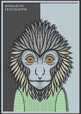 White Cheeked Gibbon