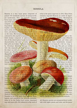 Mushroom Russula