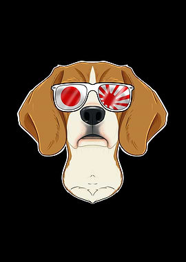 Beagle Japan Sunglasses