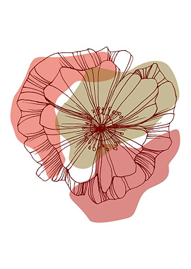 Poppy Botanical Floral