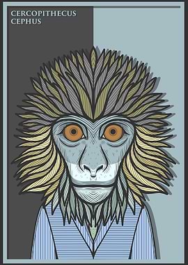 Moustached Guenon Monkey