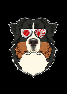 Bernese Mountain Dog Japan