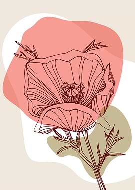 Poppy Botanical Floral