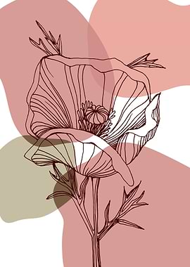 Poppy Botanical Floral