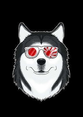 Husky Japan Sunglasses