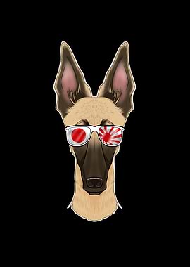 Malinois Japan Sunglasses