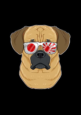 Puggle Japan Sunglasses