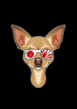 Chihuahua Japan Sunglasses