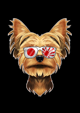 Yorkshire Terrier Japan