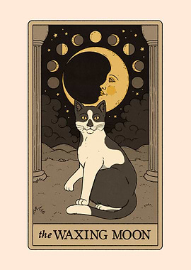 The Waxing Moon Cat